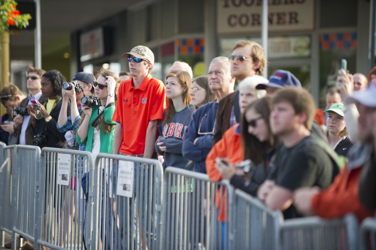 Spectators watch as crews cut down a live oak on Tuesday.