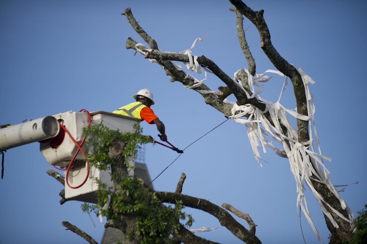 A crew member works to bring down a live oak tree on Tuesday.