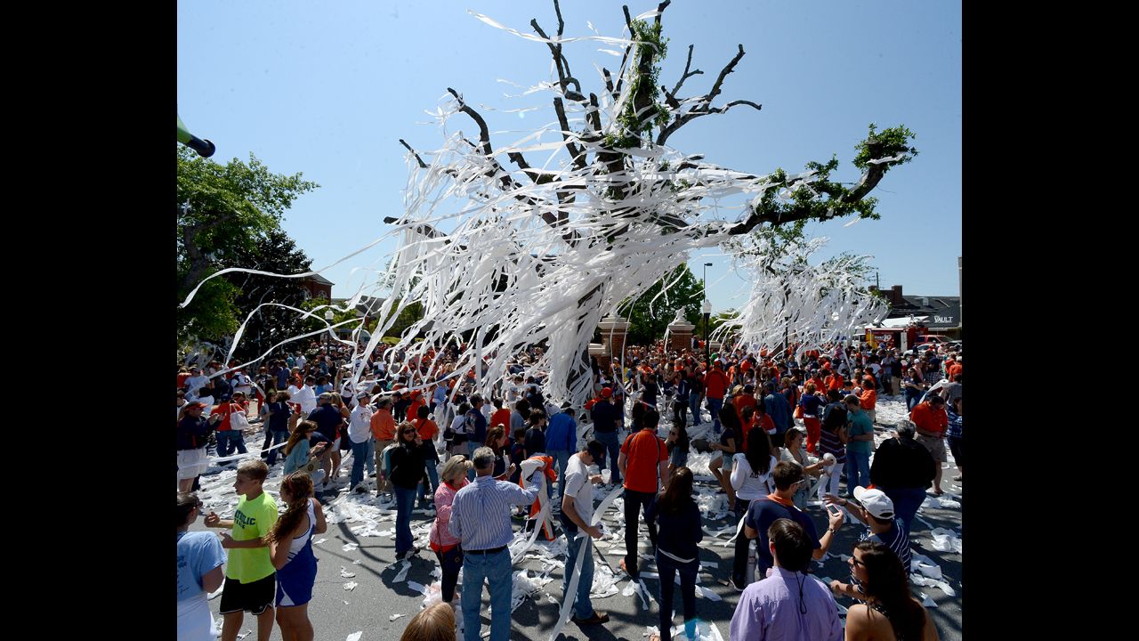 Auburn fans bid goodbye to the famous oak trees on Saturday.