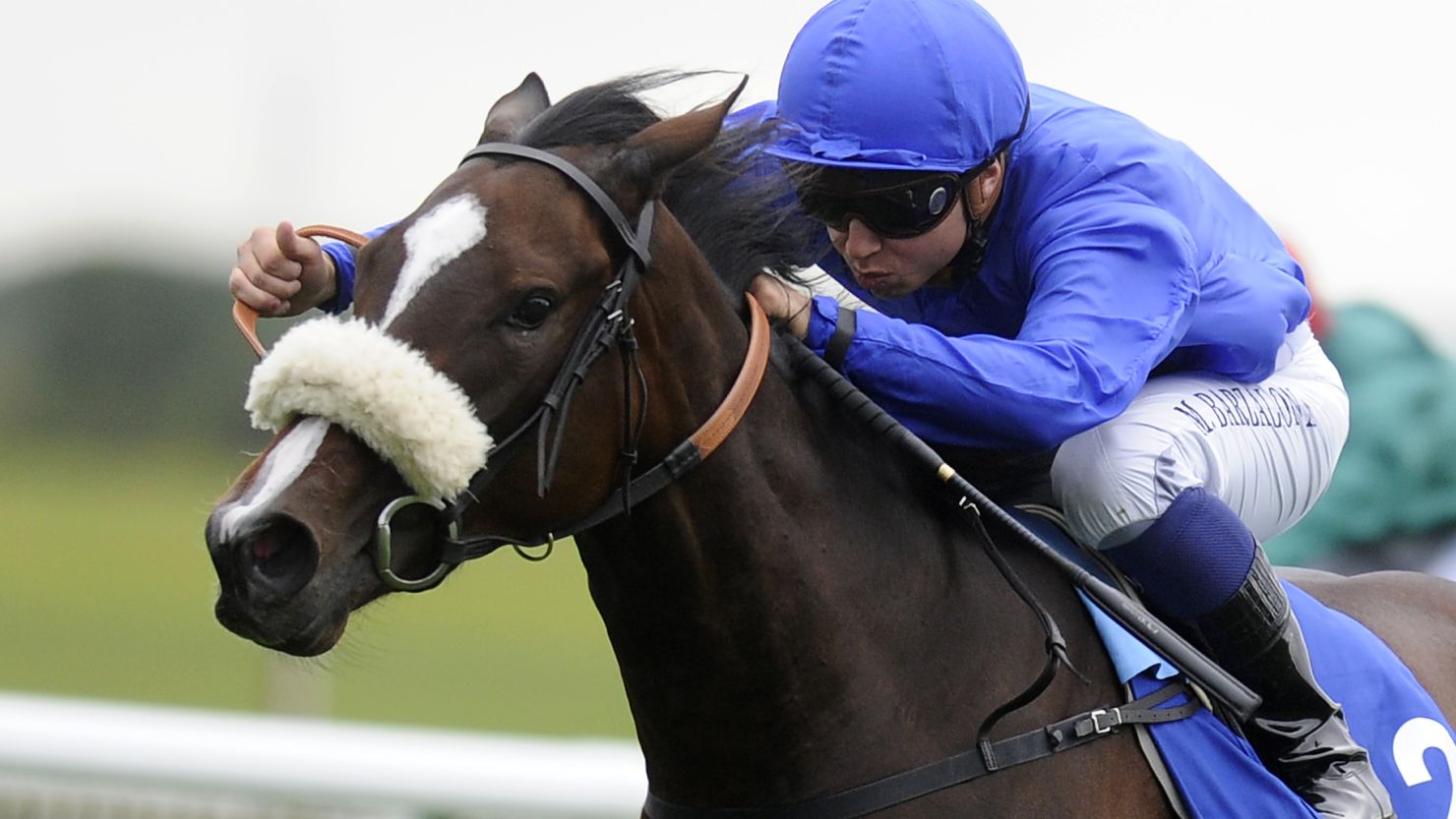 Top filly Certify is one of the Godolphin horses found to have been given banned substances.