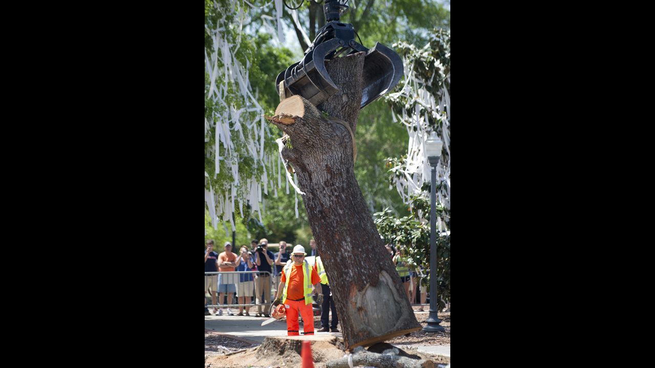 A crane grabs a tree trunk on Tuesday.