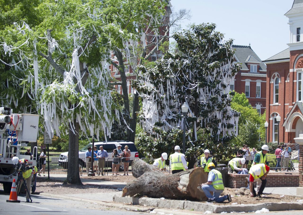 Crews examine a trunk on the street on Tuesday.