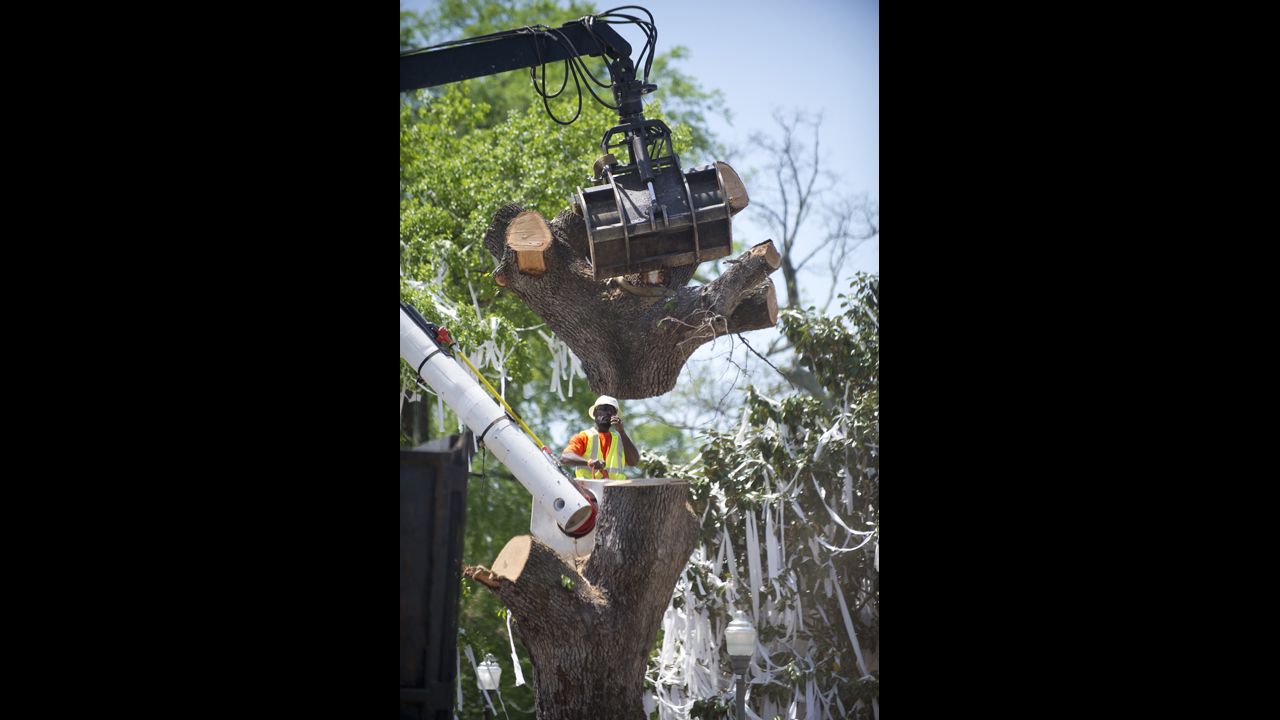 A crane pulls off the top of the trunk Tuesday.