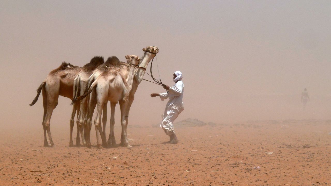 A camel herder guides his animals during a sandstorm on the edge of Khartoum, Sudan, on Saturday, April 20.