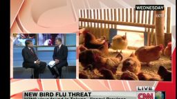 nr.new.bird.flu.threat_00024014.jpg