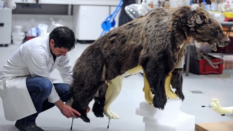 Apparently This Matters: Crap(py) taxidermy | CNN Business Apparently This Matters: Crap(py) taxidermy | CNN Business
