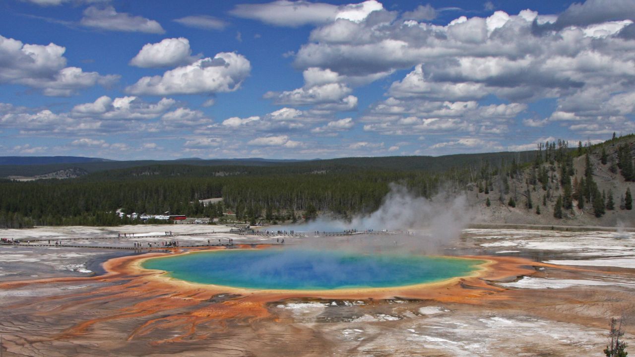 Yellowstone contains half of the globe's known geothermal features, and is home to an array of wildlife including grizzly bears, wolves and bison.