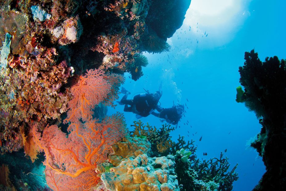 With more than 3,000 individual reefs interspersed with hundreds of tropical islands, the Great Barrier Reef is unmatched by any other reef system. It's size is a reminder of the vast scale of the Earth's oceans and the fragility of its ecosystems. 