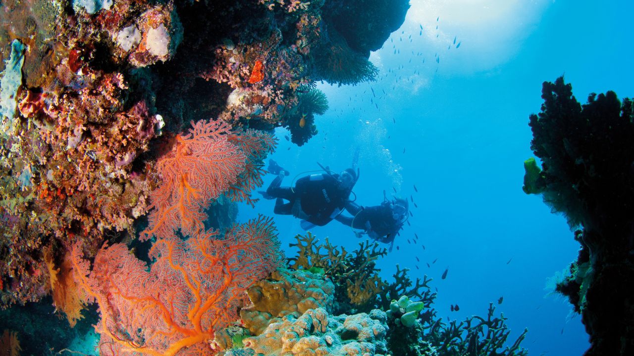 The Great Barrier Reef is composed of more than 3,000 individual reefs interspersed with more than 600 islands.