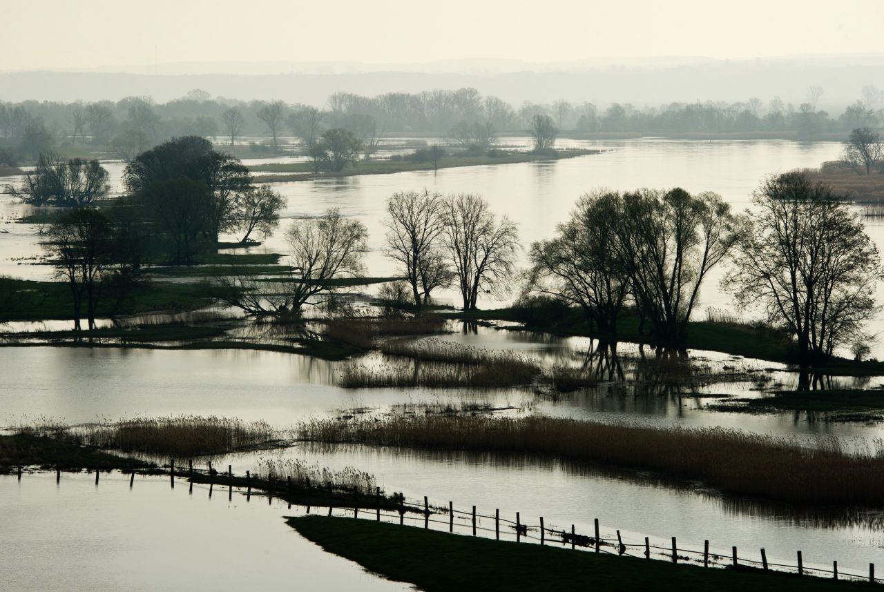 Fields and meadows are flooded by the waters from the Oder River near Lebus, Germany, close to the border with Poland, on April 26. The meadows along the Oder are regularly flooded during spring.