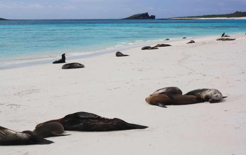 Among the first sites to be listed by UNESCO in the 1970s, this otherworldly archipelago is located in the far reaches of the Pacific Ocean. On top of its bevy of endemic species that have remained unchanged for centuries, the island groups' location at the confluence of three ocean currents also attracts a diverse array of marine life.