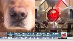 tsr pkg starr bombs dogs vs technology_00002504.jpg