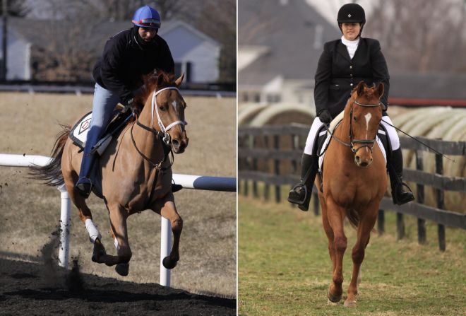 Agent Alex, adopted in 2012 by Sarah McCullough from Second Stride, before adoption, left, and after adoption.  He is just starting his eventing career.