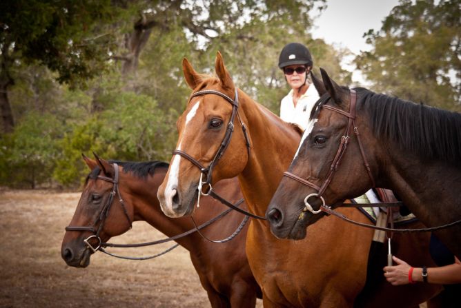 Lynn Reardon, founder of LOPE, says that ex-racehorses are very attuned to body language. She uses this in her training techniques. From back: Luther with owner Patti Brown Standen astride, Red Joe and Big Trump. 