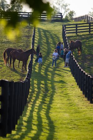 At the Old Friends farm in Georgetown, Kentucky, ex-racehorses enjoy their golden years and visits from tour groups.