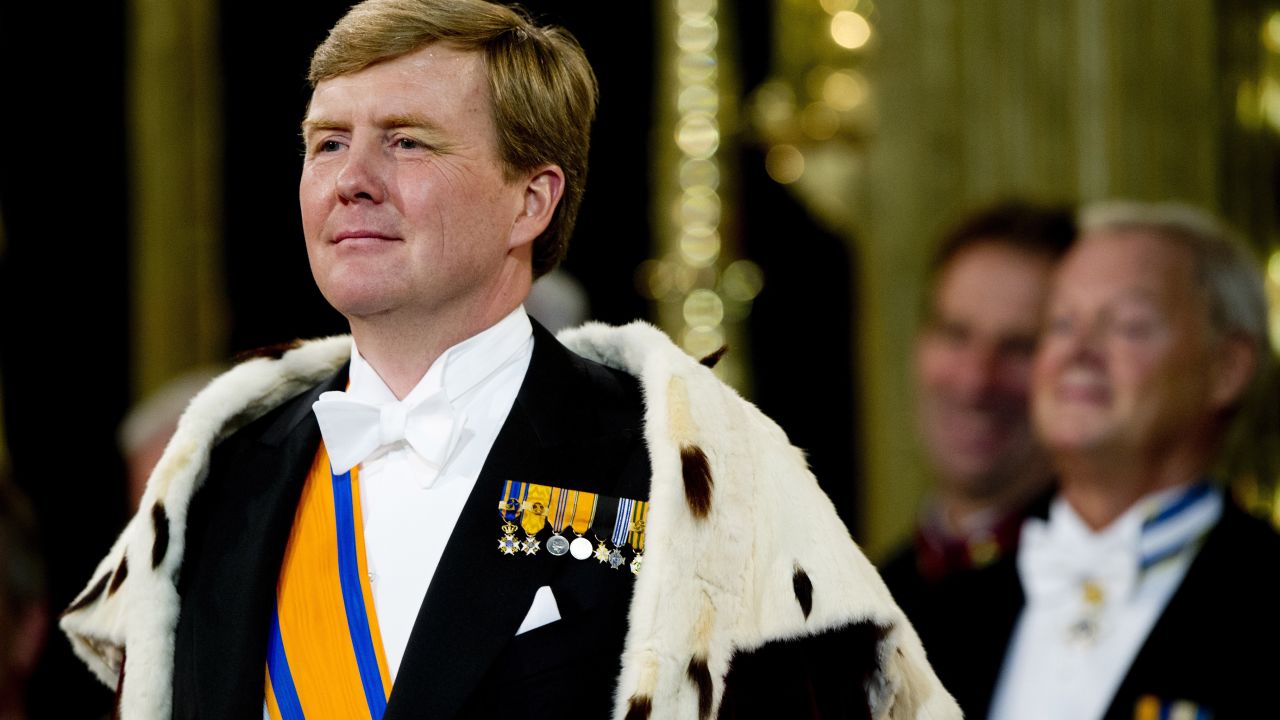King Willem-Alexander stands during the investiture ceremony.