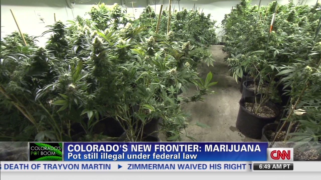  The ACLU says that racial disparities in marijuana arrests have grown significantly over the past 10 years.