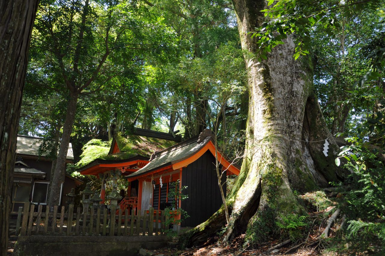 Shrines in Japan usually worship natural objects. Takahara Kumano-jinja enshrines the surrounding ancient trees, which are marked by white folded papers, called shides.