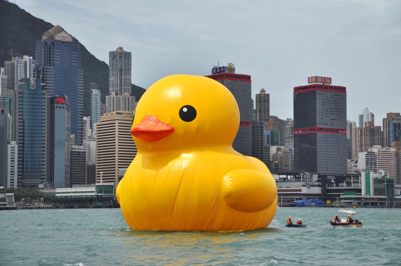 Not your everyday sight in Hong Kong's Victoria Harbour. A giant 16.5 meter (54 feet) inflatable duck, creatively called 'Rubber Duck' sails into town on Thursday.