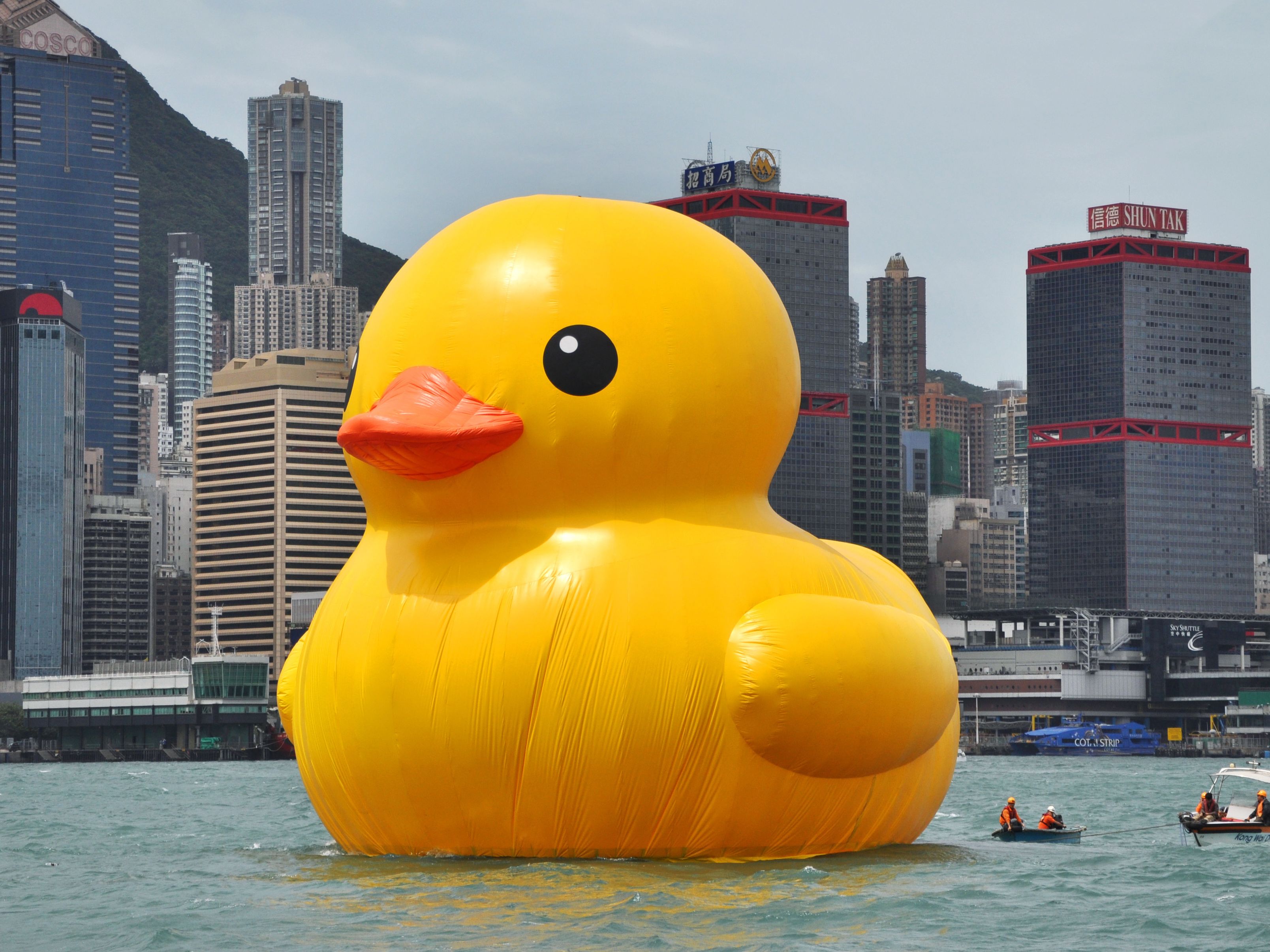 ze Kan worden genegeerd NieuwZeeland Hong Kong giant inflatable rubber duck | CNN