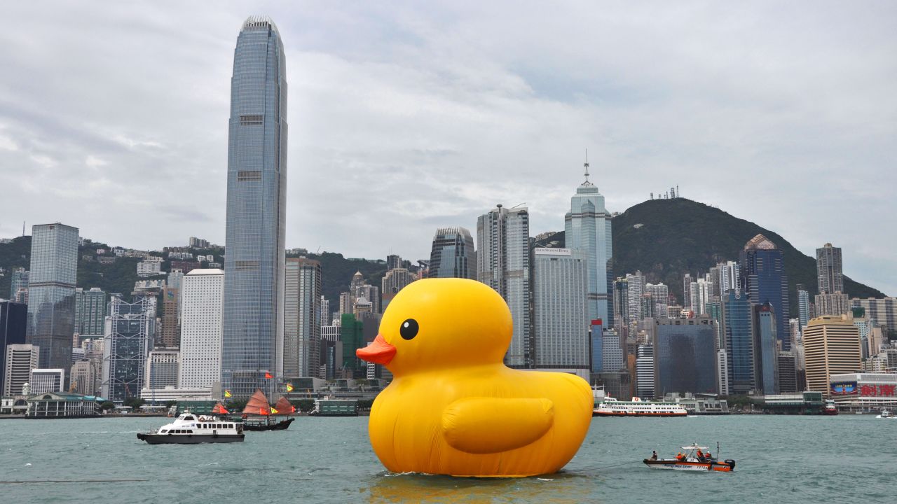 And it was all yellow ...  in May and June in Hong Kong, where the big duck drew more than eight million spectators.