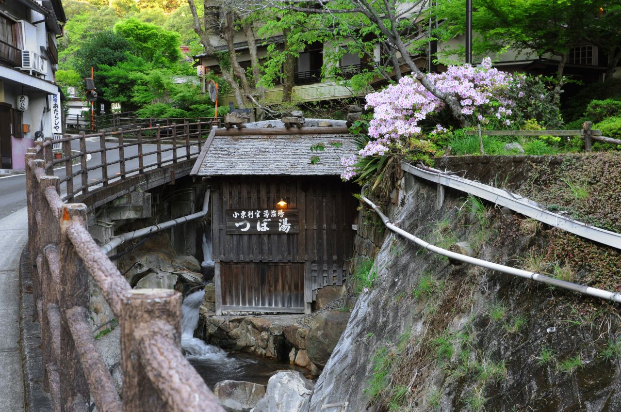 Yunomine Onsen is one of the oldest hot springs in Japan. Onsen water is used for everything from public cooking in a pot next to the river to a sauna in the hotel.