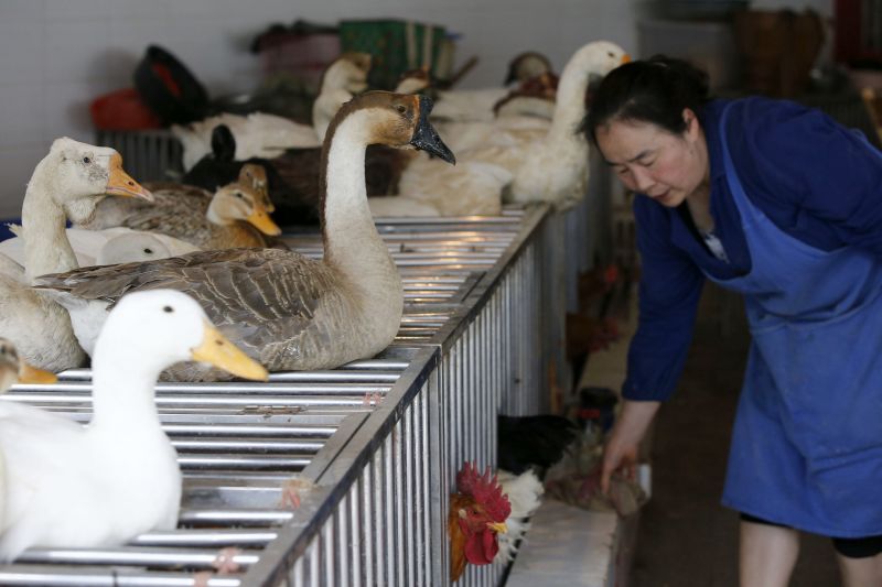 Scientist Poultry Trade May Be Spreading Deadly Bird Flu CNN   130506041542 China Poultry Market 