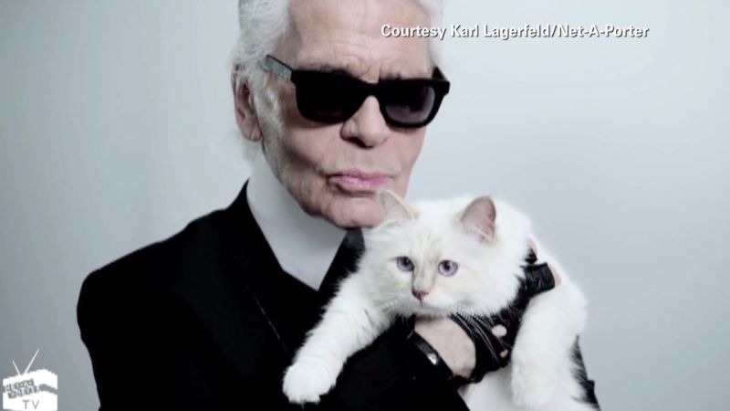 Karl Lagerfeld: Fell In Love With My Cat | CNN