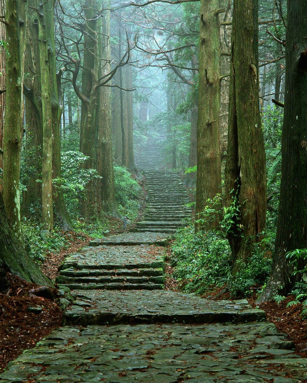 Daimonzaka. For those who've always wanted to feel like they're on a "Lord of the Rings" set. In Japan.