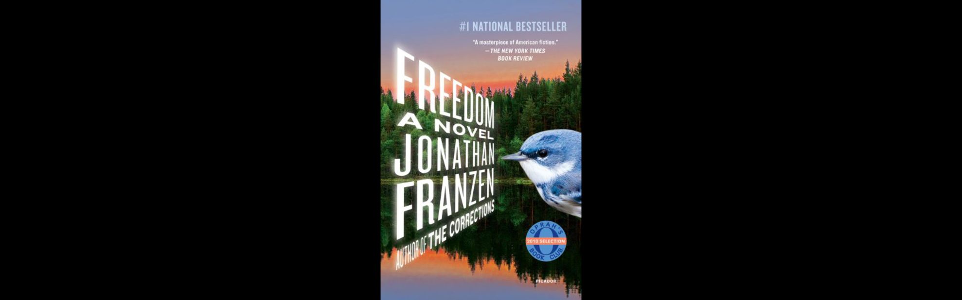 Jonathan Franzen's "The Corrections" has been in and out of development hell for years, even canceled at the eleventh hour by HBO; his 2010 best-seller, "Freedom," about an American family torn by politics and culture, has been optioned by Scott Rudin.