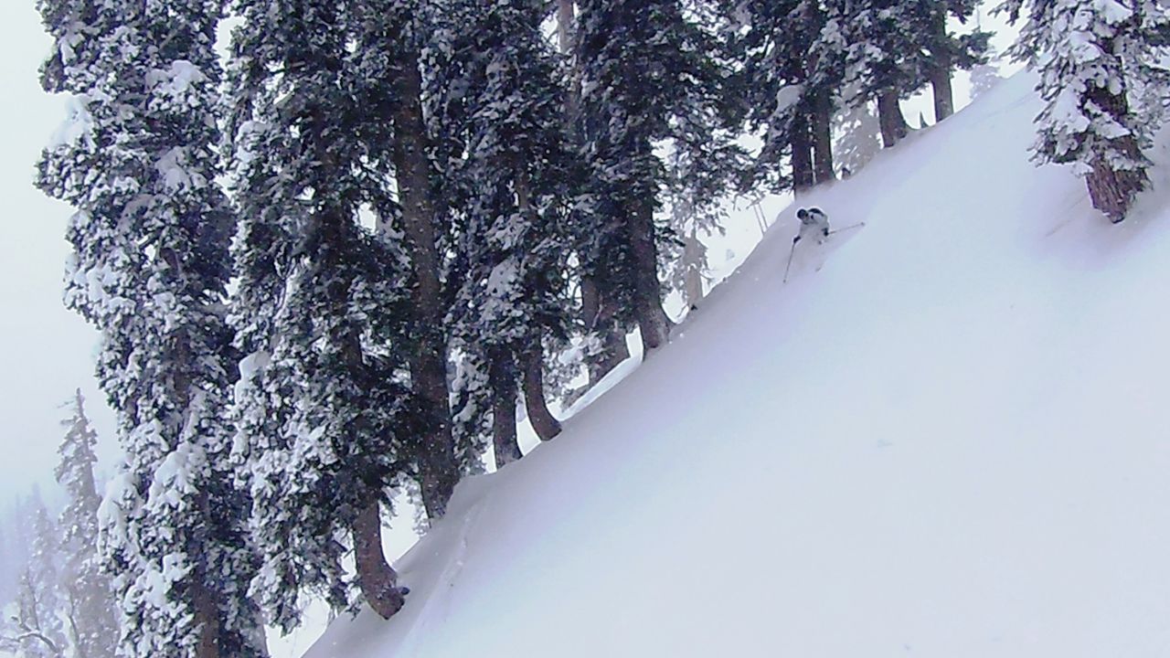 Adventurous skiers head for Kashmir and its pristine slopes. 