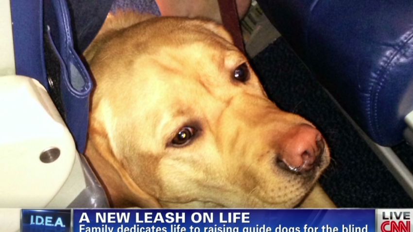 exp erin idea family dedicates life to raising guide dogs for the blind_00002001.jpg