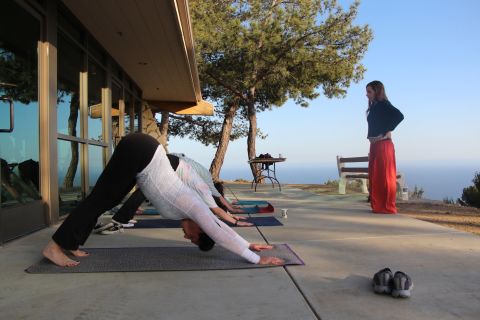 A smaller yoga class practices downward-facing dog ...