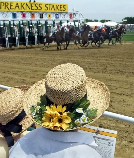She might not be as famous as her older sister, the Kentucky Derby, but the Preakness has a unique history and charm. Each year, around 120,000 spectators flock to the Pimlico track in Baltimore to watch the $1 million race. 