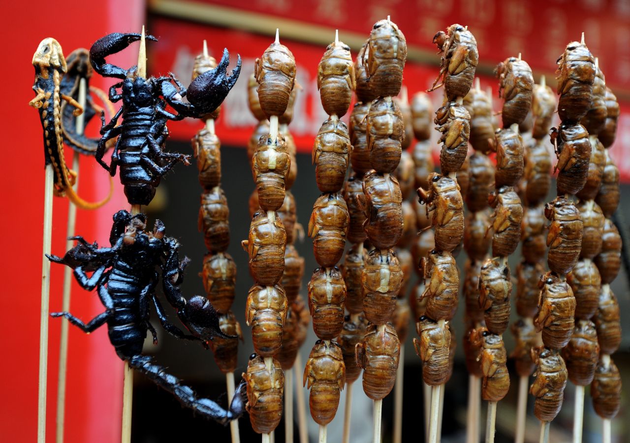 About 1 million of the 1.4 million named animal species on Earth are insects, and they have the potential to fight malnutrition, said the Food and Agriculture Organization of the United Nations. In May, the group's etnomophagy experts shared compelling evidence suggesting that increased intake of insects would promote health, wealth and a cleaner environment for both rural and urban communities around the globe.
