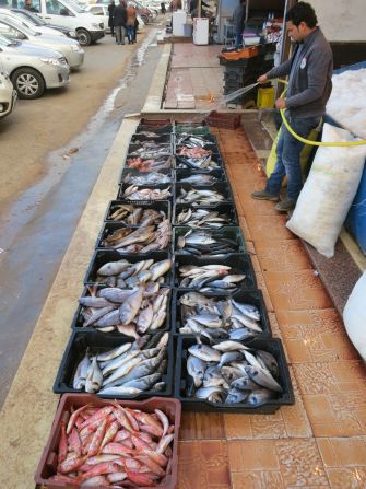 A selection of of fresh fish at the restaurant Barakoda on the Tripoli Coast. The establishment does not have a paper menu; patrons select from the daily catch, and meals are cooked to order. 
