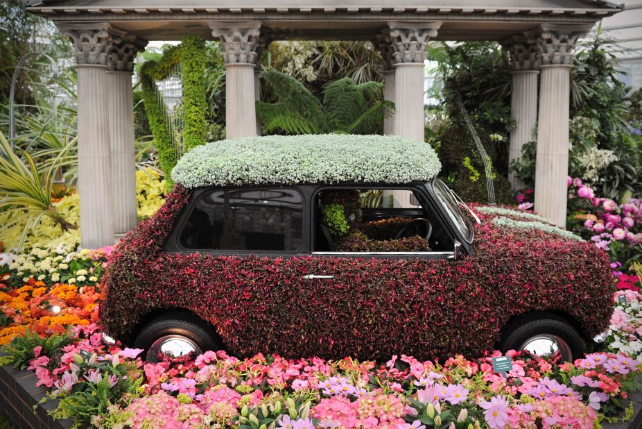 A flower-covered Mini Cooper in 2012, just one of the eye-catching creations for which Chelsea has become known in latter years. 
