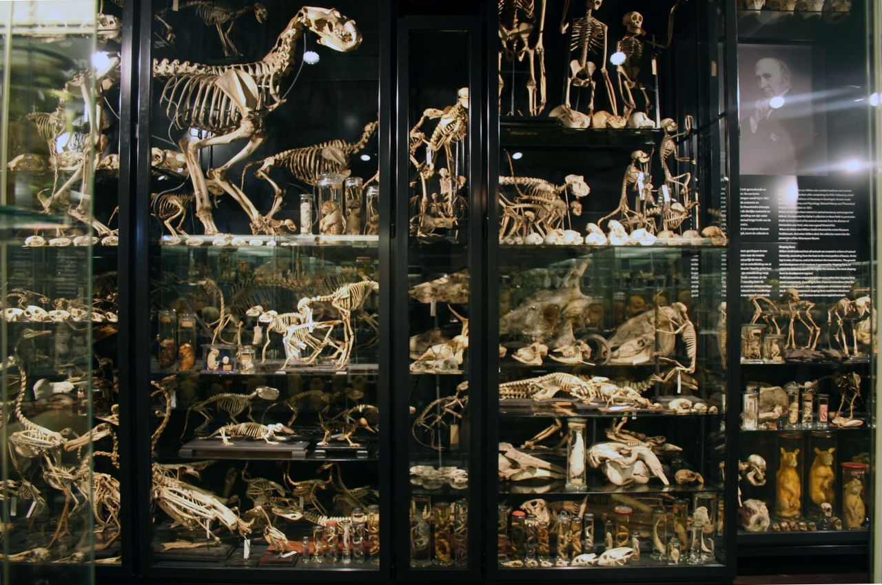 El museo afirma explícitamente que no es apto para niños.