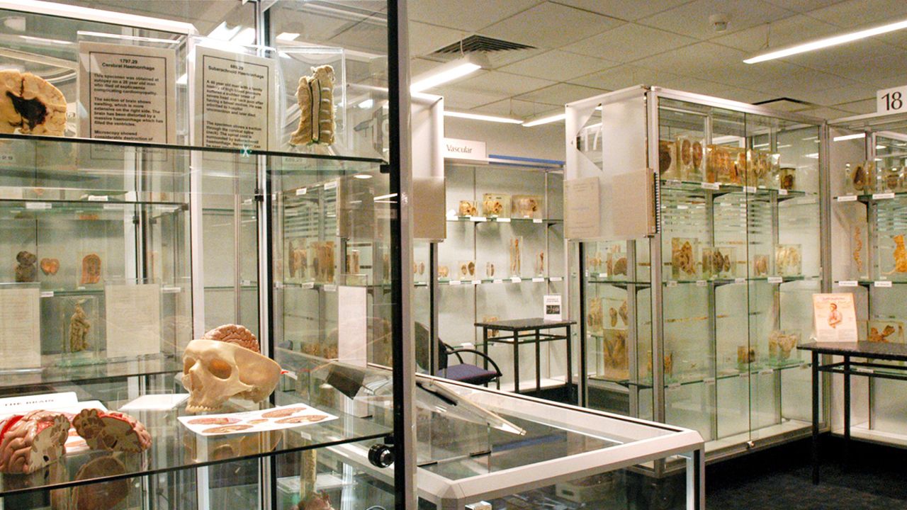 Museum of Human Disease in Australia
