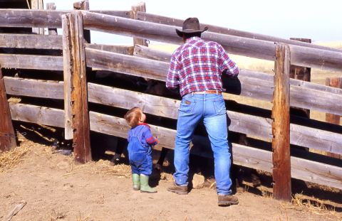 To this day, blue jeans remain the uniform for cowboys young and old. Here, Bruce Beasley and his grandson <a href="http://ireport.cnn.com/docs/DOC-971568">load cattle on their farm</a> in Patricia, Alberta, in May 2013.