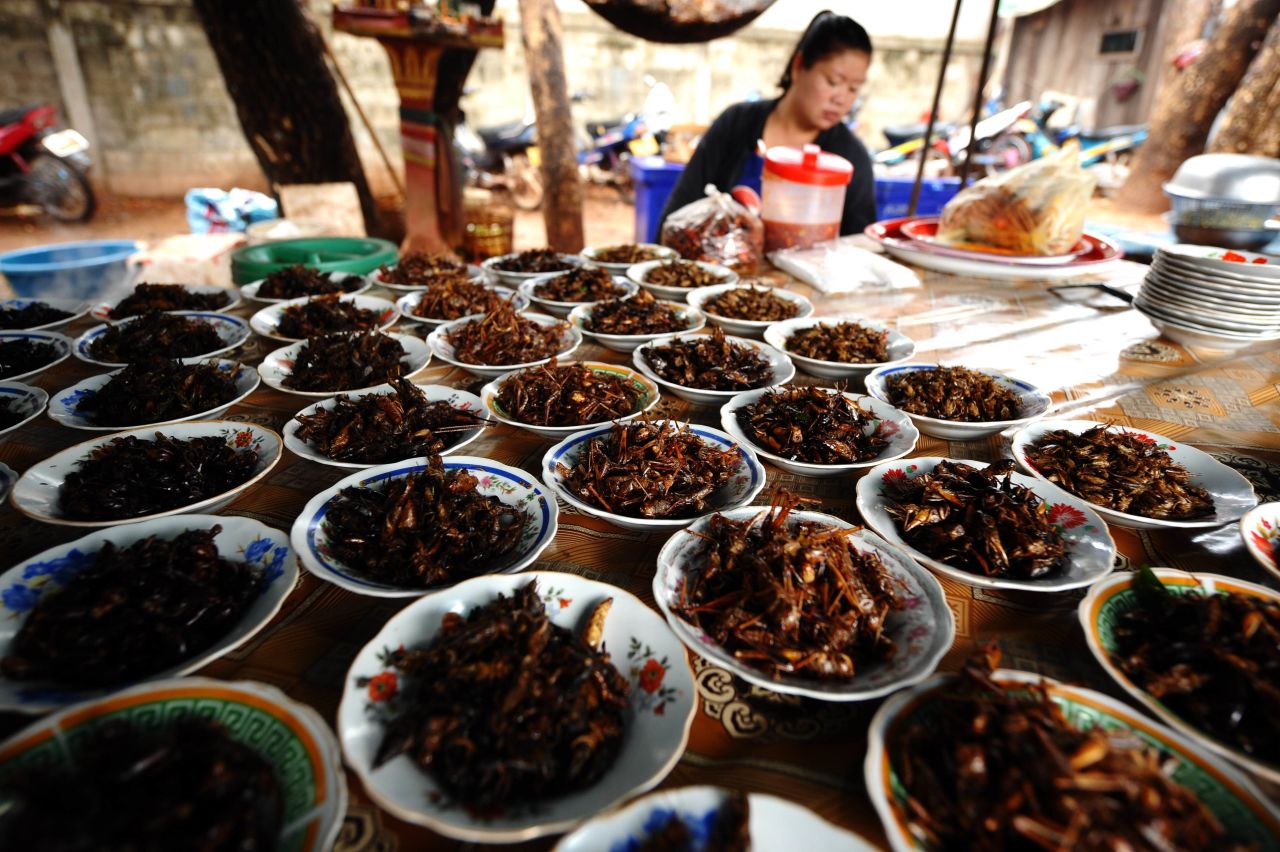 Crickets are some of the most commonly eaten insects in the world and are regarded as a solution for the malnutrition problem plaguing Laos. Fried crickets and grasshoppers are sold at markets like this one in Vientiane. According to consumer feedback in the U.N. report, farmed crickets are tastier than the ones picked in the wild. 
