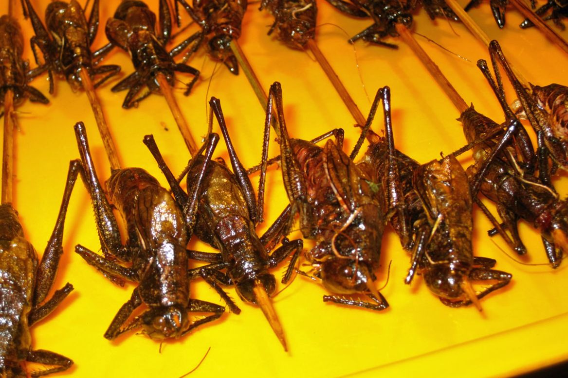 En Asia, el consumo de saltamontes no es nada nuevo. Este insecto contiene altos niveles de proteína.