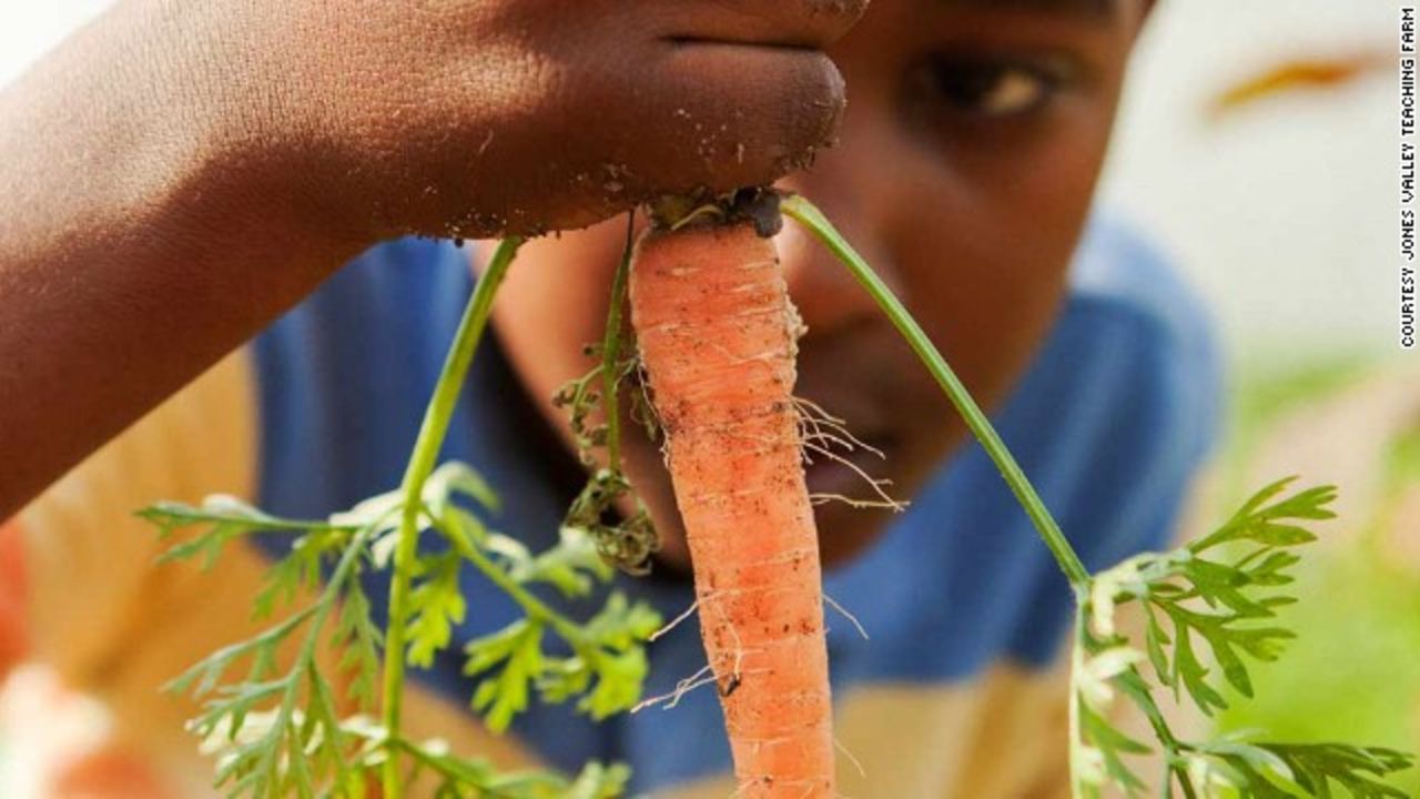 The Jones Valley Urban Farm transformed more than 3 acres of vacant Birmingham, Alabama, land into an agricultural oasis.