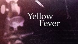 lifeswork cure Yellowfever