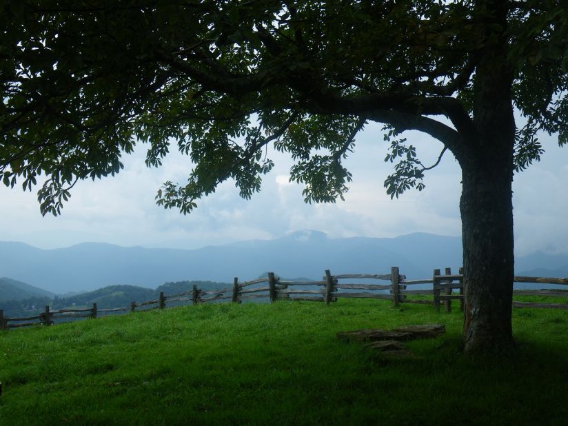 Right after sunrise is the best time to see active wildlife at Cades Cove in Great Smoky Mountains National Park.