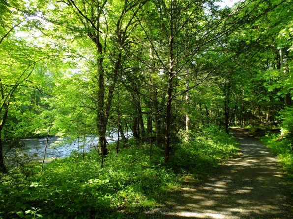 While many people (rightly) go to Cades Cove to spot bears, Worth loves to see elk when she hikes the <a href="http://www.nps.gov/grsm/planyourvisit/ocon-river-trail.htm" target="_blank" target="_blank">Oconaluftee River Trail</a>.