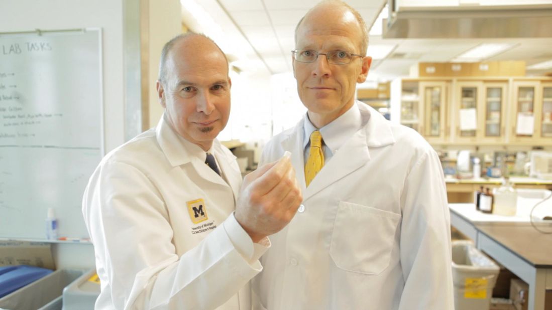 University of Michigan researchers Scott Hollister, left, and Dr. Glenn Green developed Kaiba's splint.