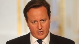 British Prime Minister David Cameron during a press conference at Elysee Palace on May 22, 2013 in Paris, France. The Prime Minister condemned the killing of a man in Woolwich, south London, earlier today, in what police are treating as an act of terrorism. (Photo by Antoine Antoniol/Getty Images)