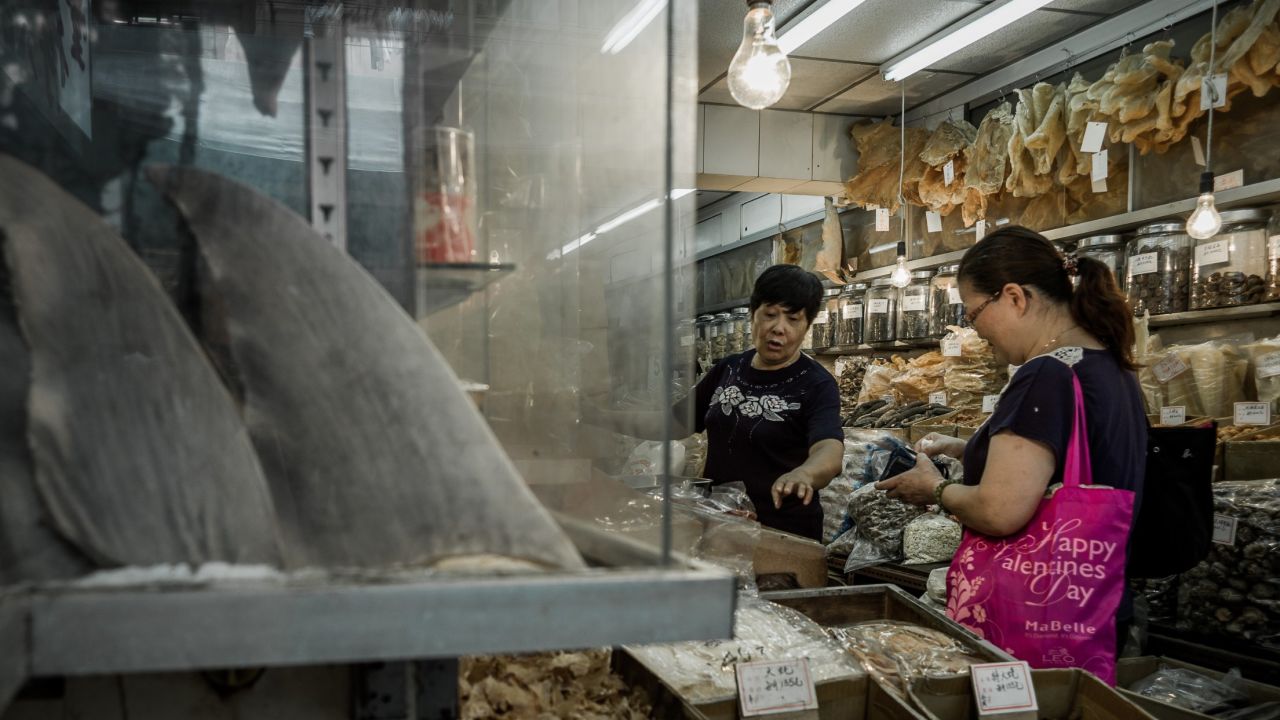 Hong Kong is the shark's fin capital of the world. 