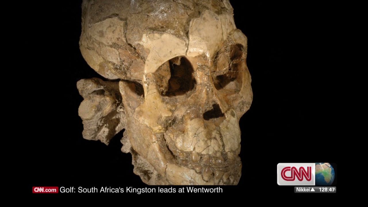 These are the skeletal remains of "Selam," a three-year-old girl who died 3.3 million years ago. She is the earliest skeleton of a child ever found.